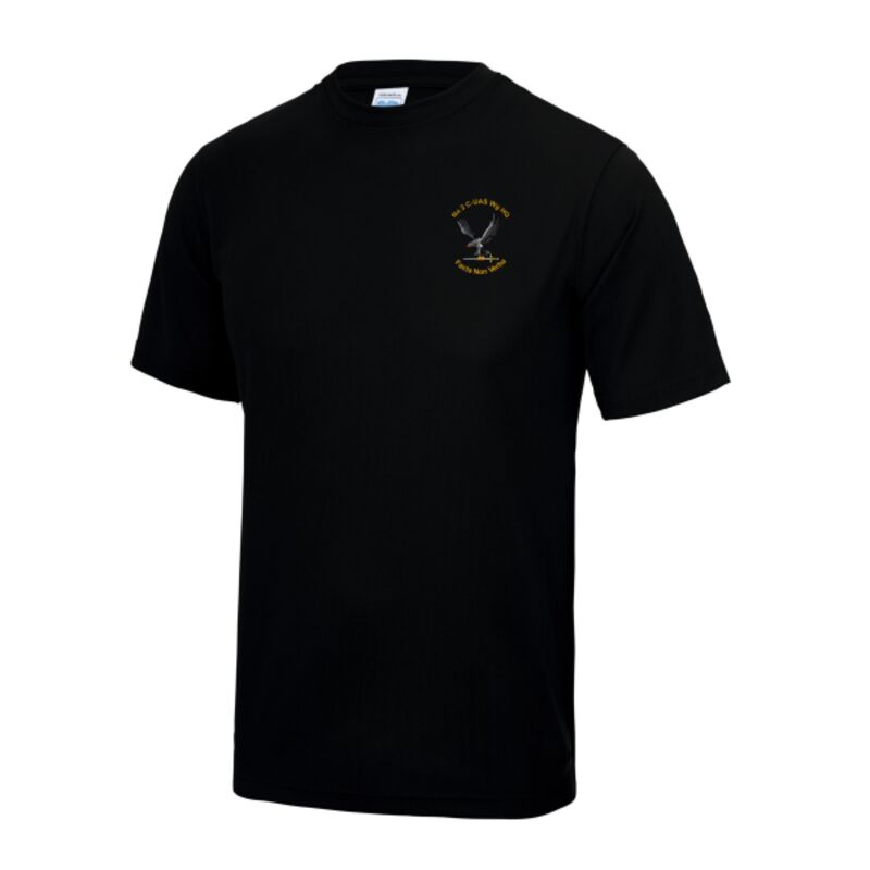 No 2 C-UAS Wg HQ Tech T-Shirt With Personalised Name Thumbnail